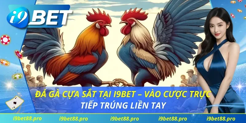 Đá Gà Cựa Sắt