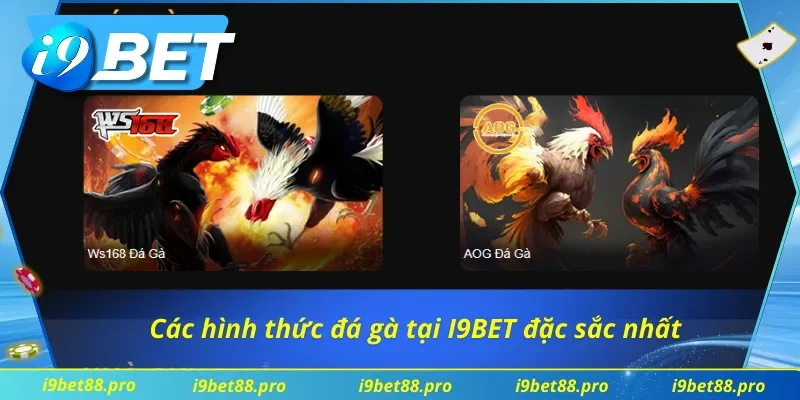Các hình thức đá gà tại I9BET đặc sắc nhất